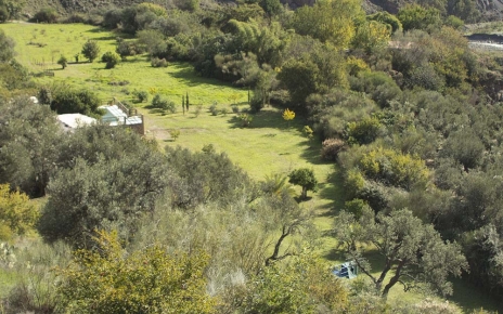 A finales de primavera